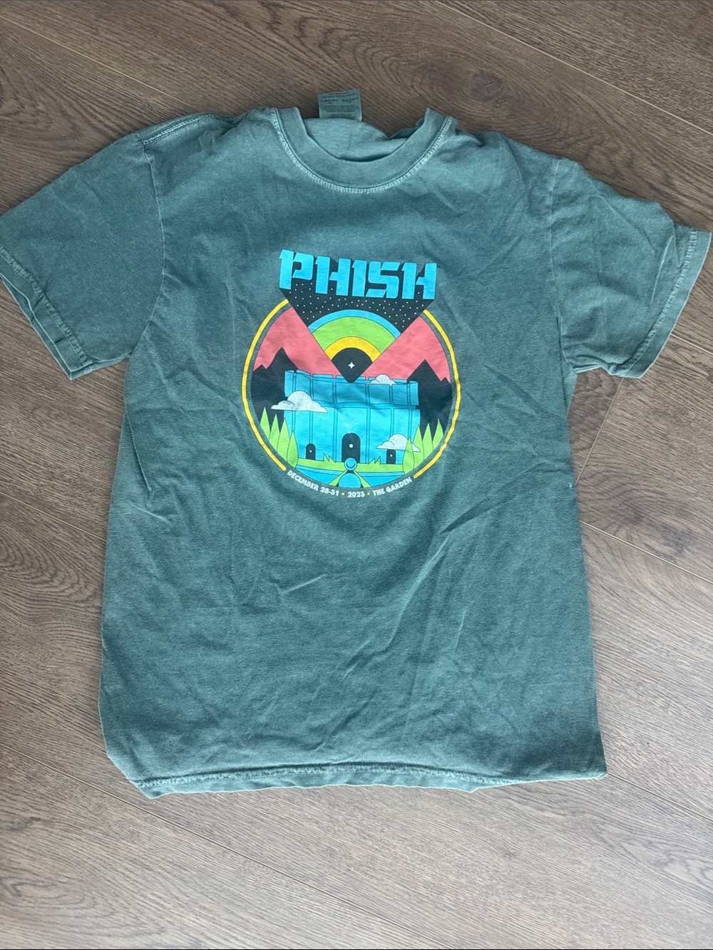 Comfort Colors Dusty Green Crewneck Tee